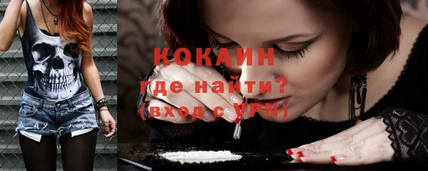 винт Бородино