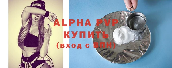 хмурый Нея