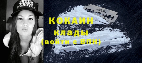 винт Бородино