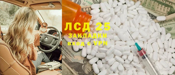 хмурый Нея