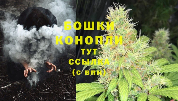 хмурый Нея