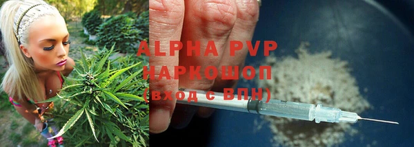 винт Бородино